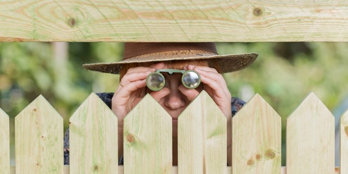 6 formas de atraer vecinos curiosos, o cómo cubrir la ventana de los vecinos