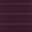 CO 117 Plum SALE