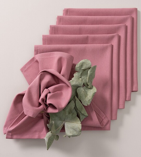 Set napkins 6pcs 42x42 133-62