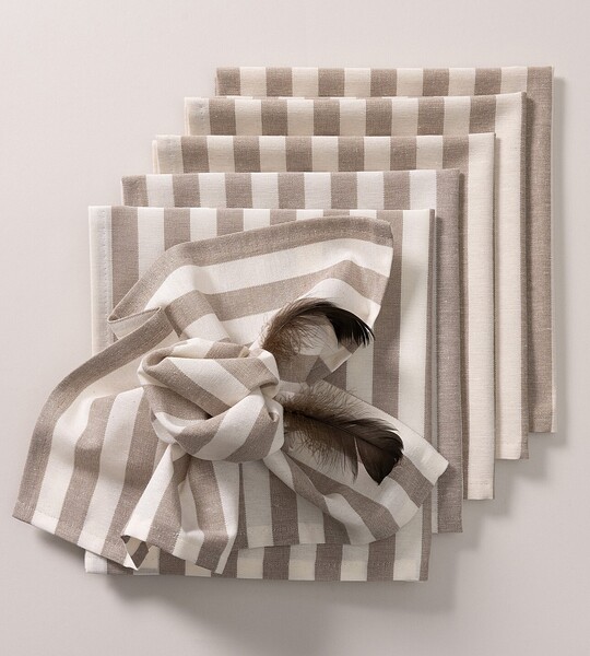 Set napkins 6pcs 42x42 Quadro 136-07