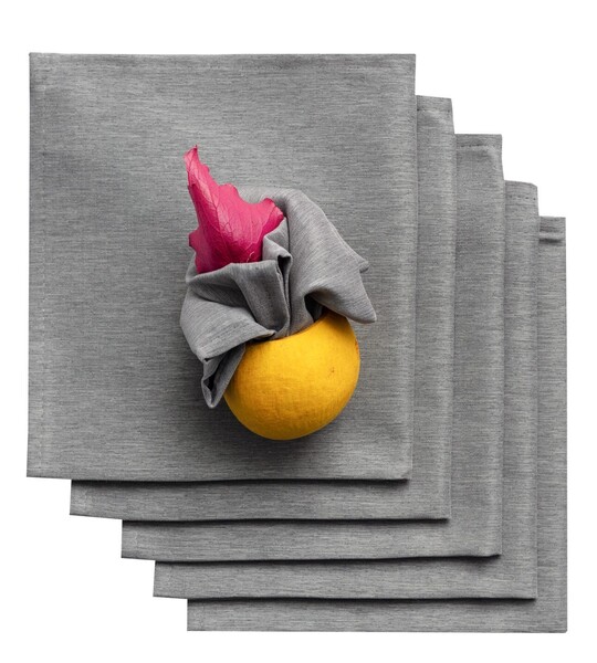 Set napkins 6pcs 42x42cm 169-36
